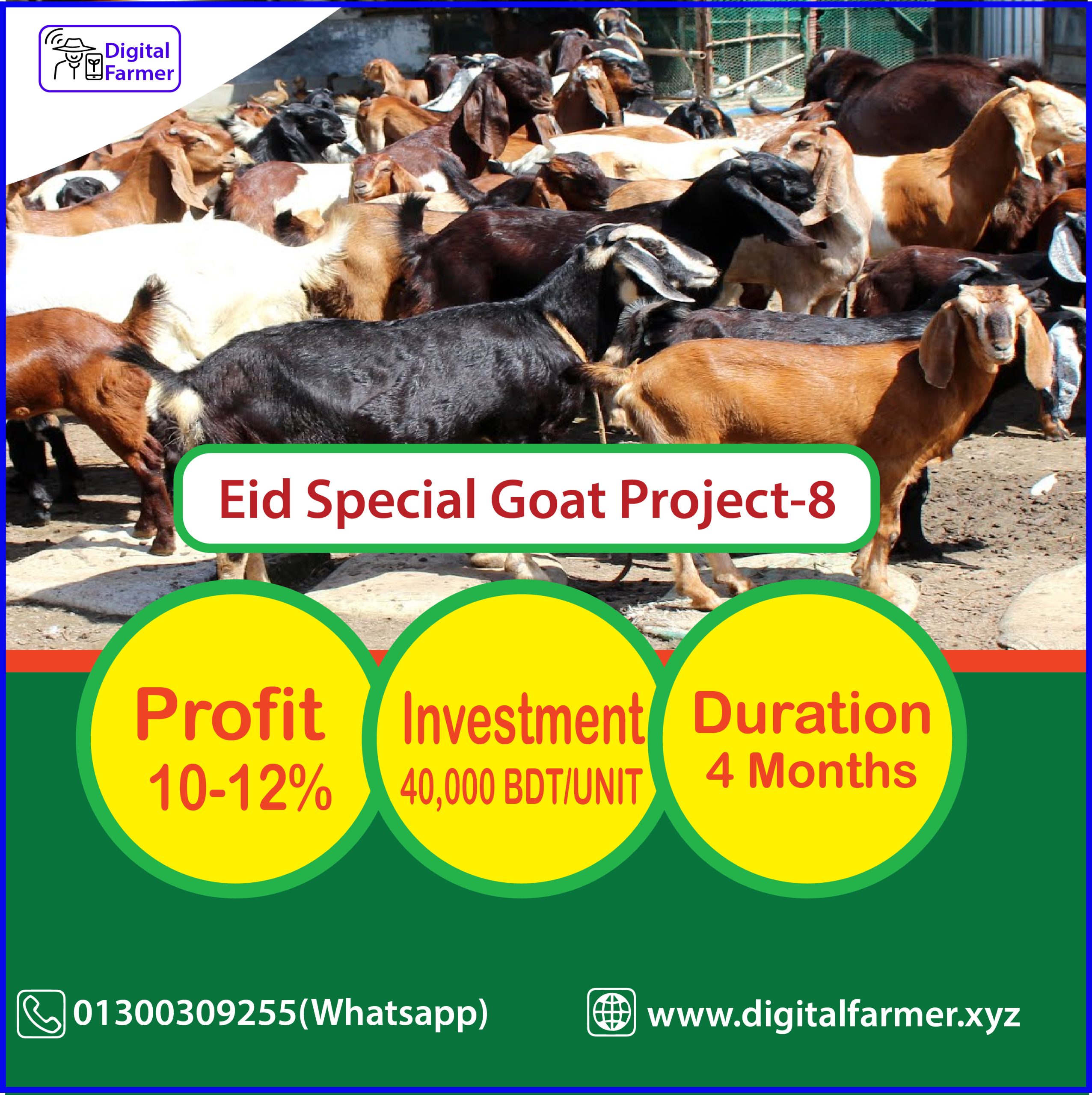 Eid Special Project-05