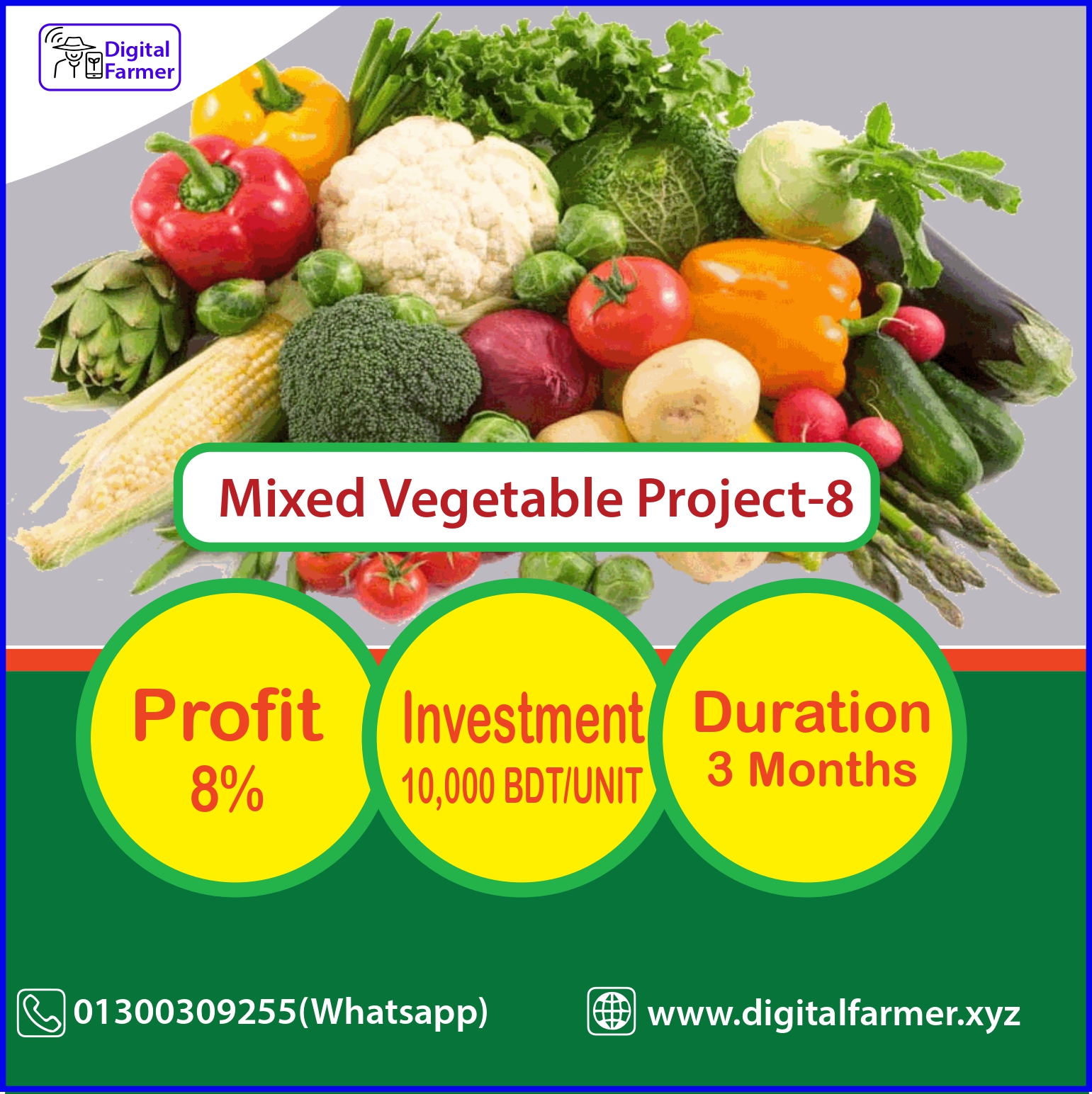 Mixed Vegetable Project-8